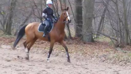 13-12-08 - Hippodrome avec Chantal :D !