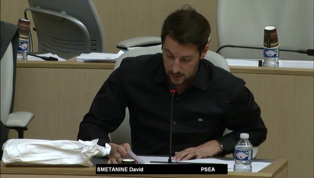 Montagne 2040 - David SMETANINE