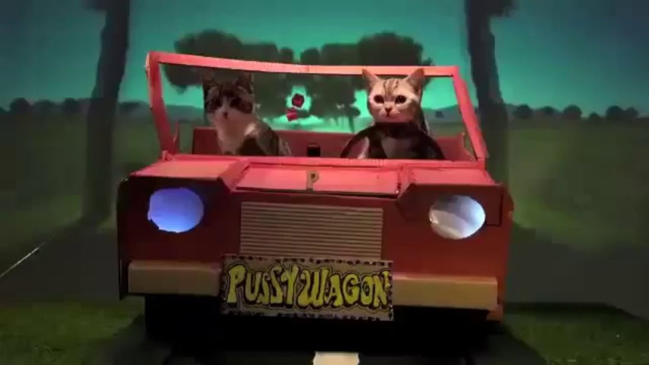 eğlenceli kediler ço Komik Köpek - Kedi - Kuş - Papağan - Ördek - Eşek - Fare - Fun