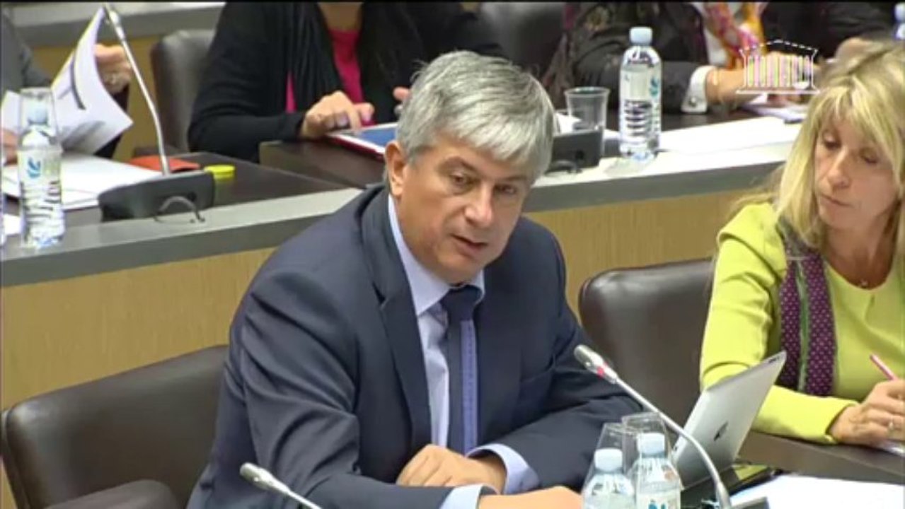 Intervention d'Hervé Féron en Commission des Affaires Culturelles et de l'Education : audition de Jean-Luc HEES, président de Radio France