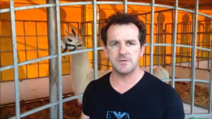 Serge le Lama est arrivé à Angers!