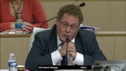 Directive territoriale d’aménagement sur l’espace interdépartemental de Saint-Exupéry - Philippe REYNAUD