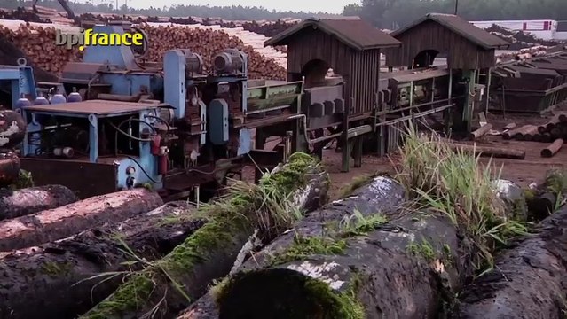 Groupe PGS (Palettes Gestin Services)