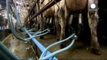 La Commission européenne veut interdire le clonage d'animaux d'élevage