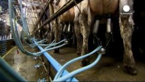 European Commission tables ban on farm animal cloning