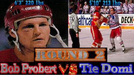 Top 10 NHL Hockey Fights of All Time