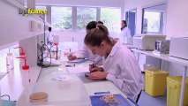 Laboratoires Probionov : une médecine nouvelle génération