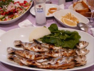 Meyhane Şarkıları - Böylemi Esecekti