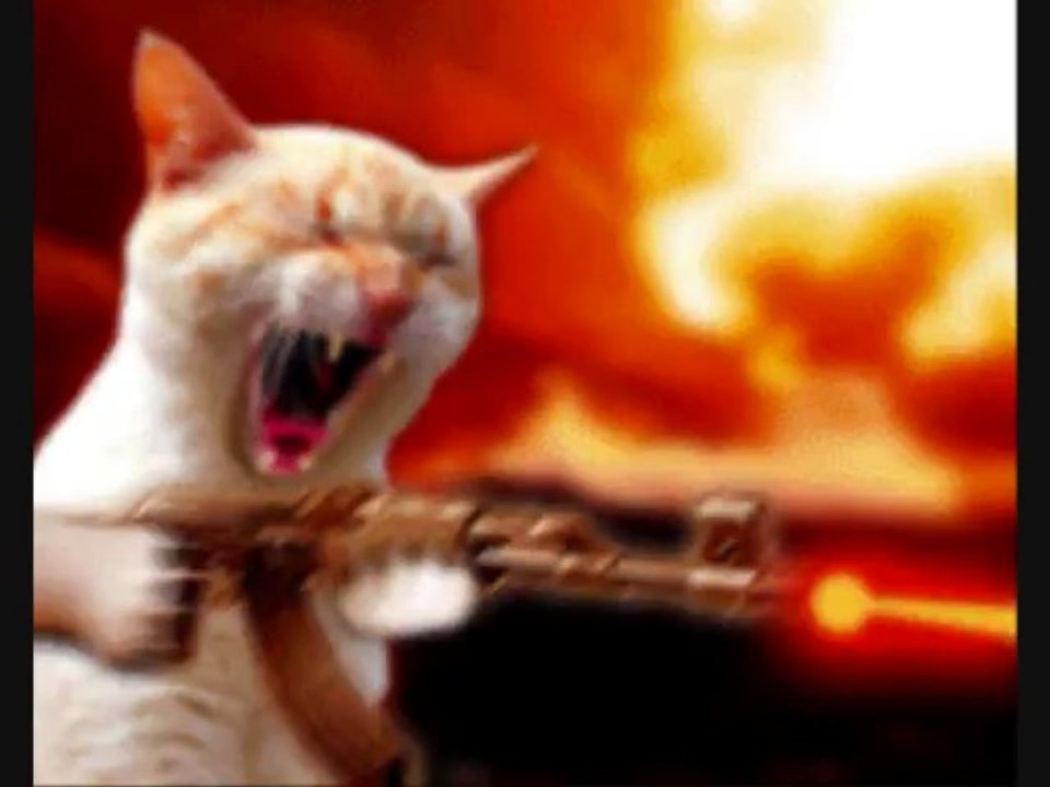 Random images while I play unfitting music (Mordechai Style)