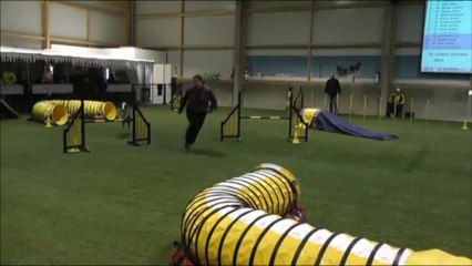 Dixie WINTERCUP AGILITY 14 et 15/12/2013