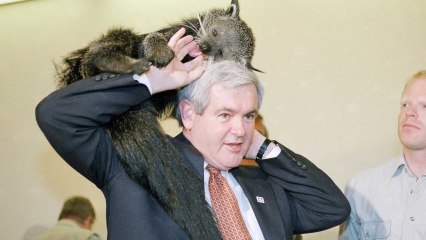 When animals attack…politicians