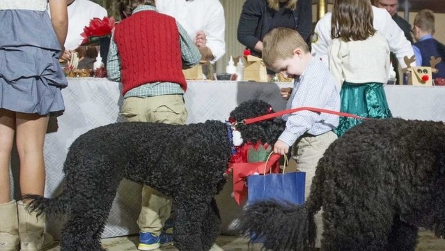 Dog-gone-it, Sunny Obama: You've had the worst week in Washington
