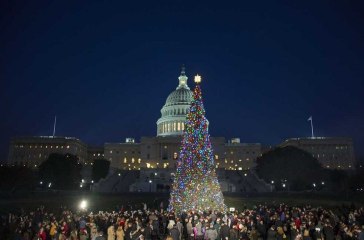 U.S. Capitol Christmas tree lights up city