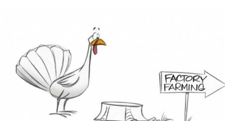 What a turkey would choose