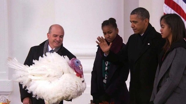 Obama pardons Popcorn the turkey