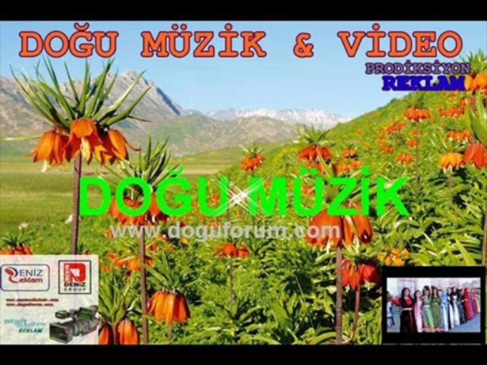 Feriba Halay Müzik(doguforum.com)