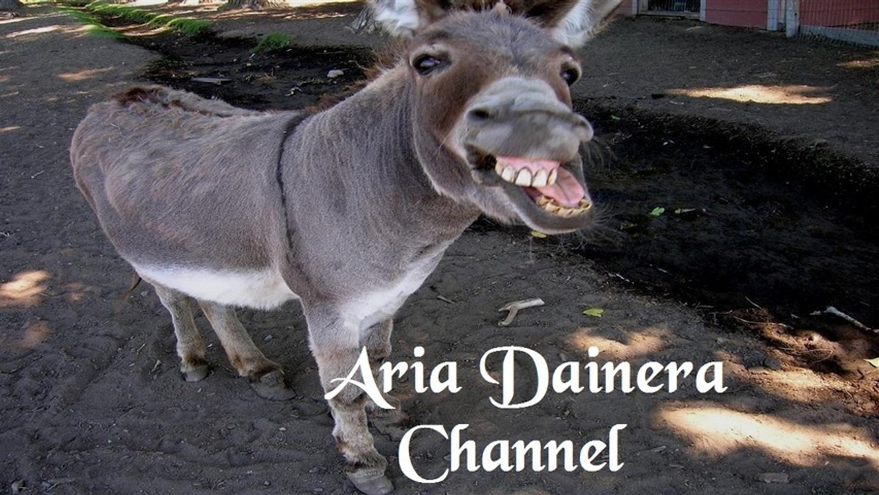 Γεώργιος Σουρής ★ Ελλάς, η Χώρα των Γαϊδάρων