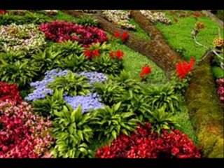 98 Surah Al Bayyinah With Kanzul Iman Urdu Translation