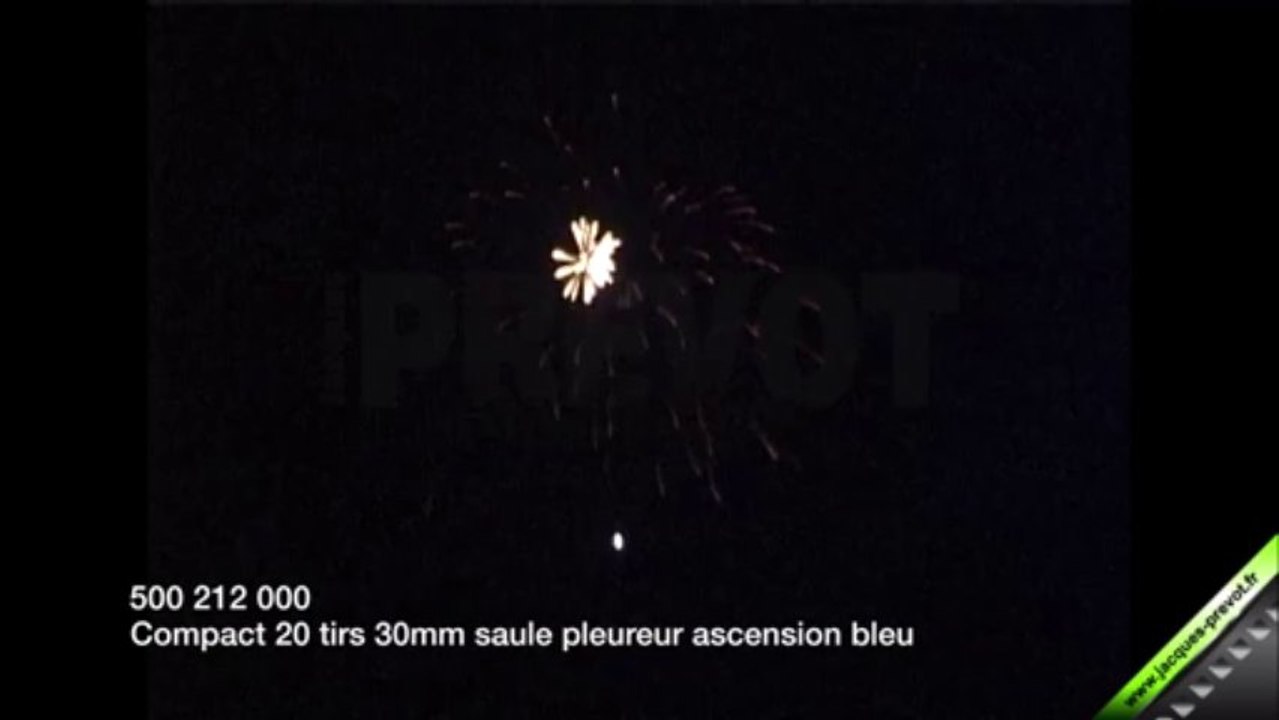 Compact 20 tirs saule ascension bleu