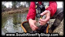 Fly Fishing Richmond Virginia-South River Fly Shop