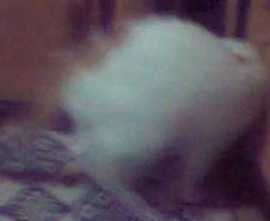 merinos seni unutmayacağız