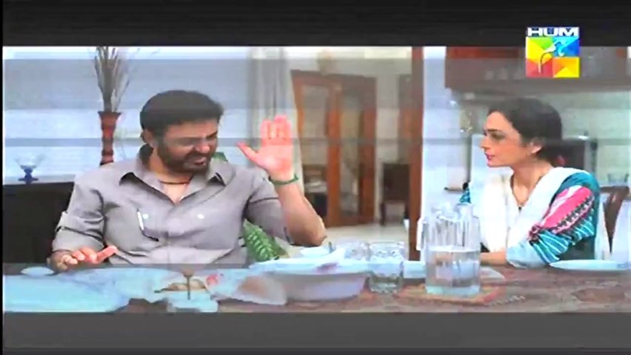 Title Song HD - Zindagi Tere Bina OST HUM TV Drama [2013]