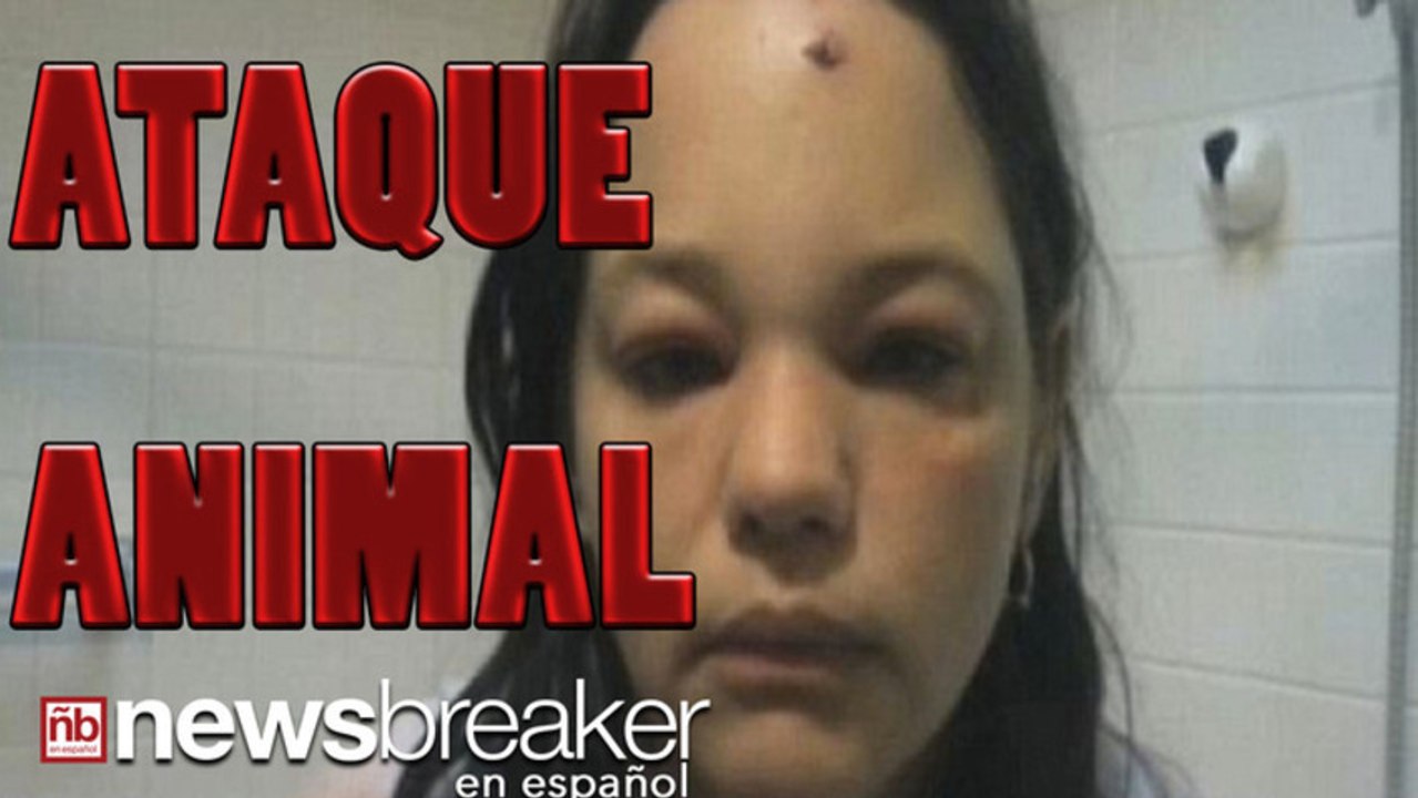 CAT GOT YOUR FACE?: Viral Video Shows Woman Attacked by Feline After Kicking Snow at it