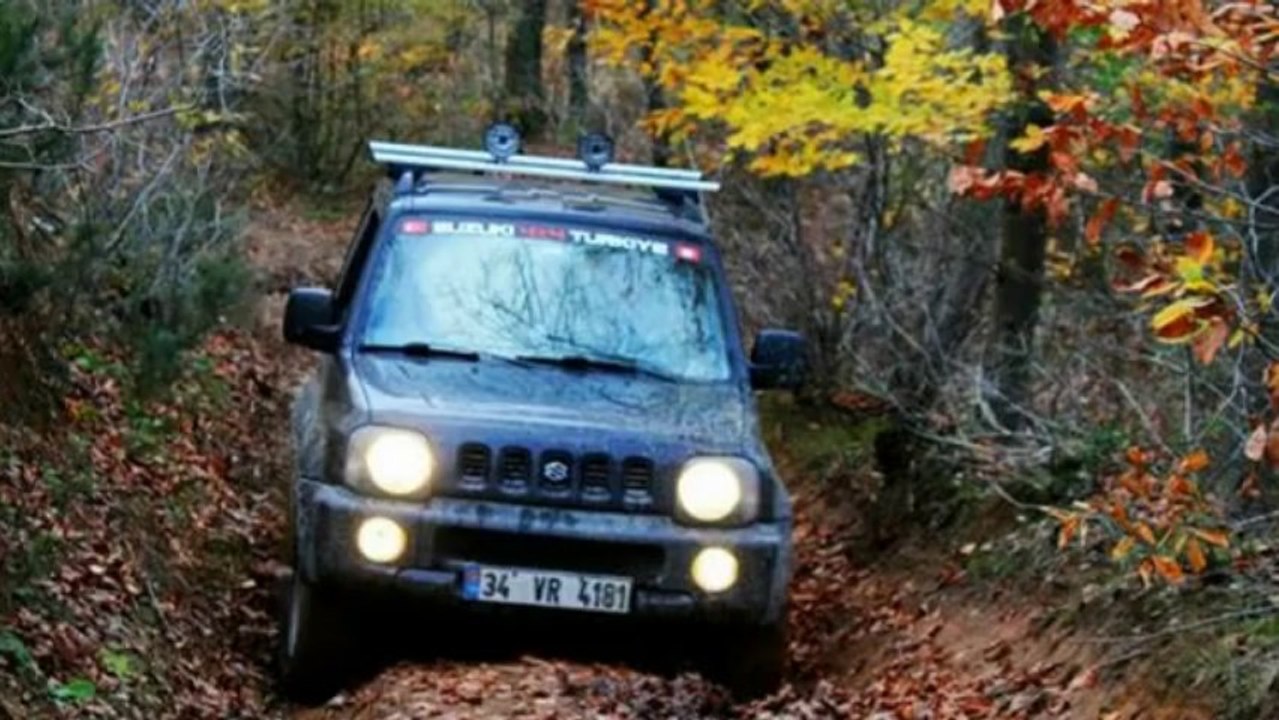 VR4181