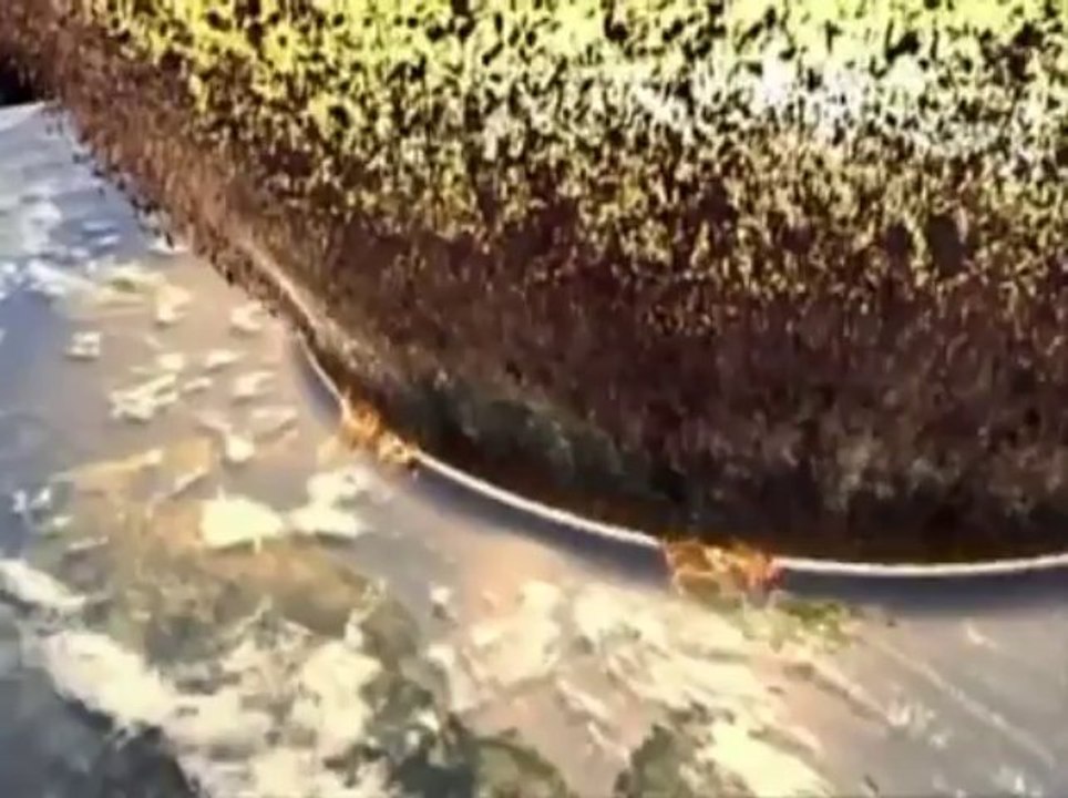 Big asteroid impact