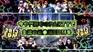 THE BEST OF 2013 EDM PARTY MIX -2CD- : DJ PLANET