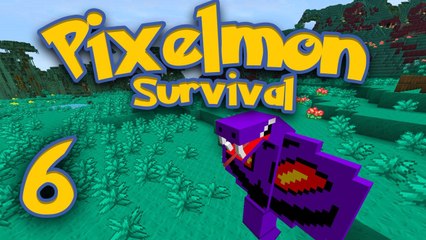 Minecraft Pixelmon Survival [Part 6] - Miniature Pokemon