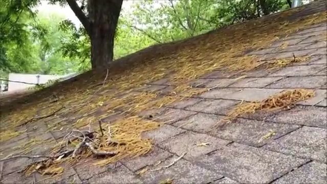 McKinney ROOF REPLACEMENT by Rainy Day Restoration Roofing and Repairs