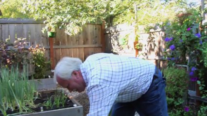 Pursuit of Truth - Trailer