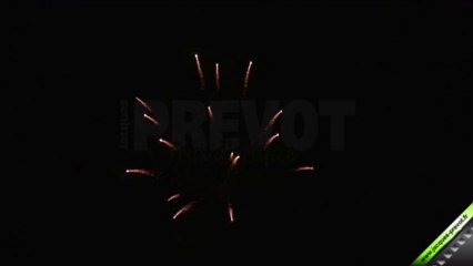 Bbe 100mm Palmes Violettes