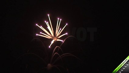 Bbes 100mm Palmes Blanc - aqua - kamuro - rose