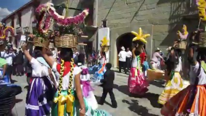 CORTÈGE DE MARIAGE FESTIF A OAXACA  (MEXIQUE)  LE 16 NOVEMBRE 2013