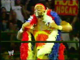 Hulk Hogan i don't wanna stop