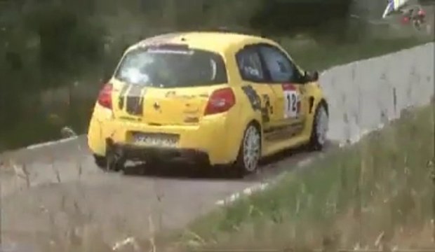 Un lièvre fait un rallye et va plus vite que les voitures!!!