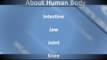 English Speaking About Human Body By English Speaking Through Marathi_(360p)