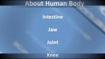 English Speaking About Human Body By English Speaking Through Marathi_(360p)