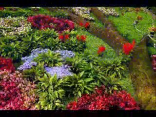 94 Surah Alam Nashrah (Surah Sharaḥ) With Kanzul Iman Urdu Translation