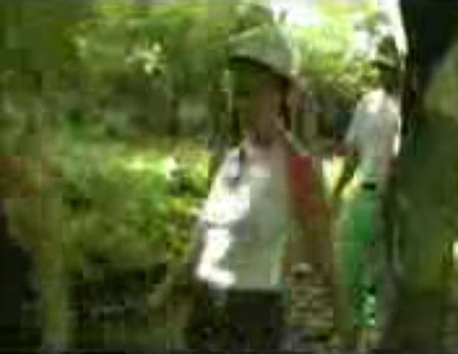 Ziplining Costa Rica