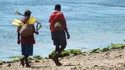 Chasse sous marine à Antalaha