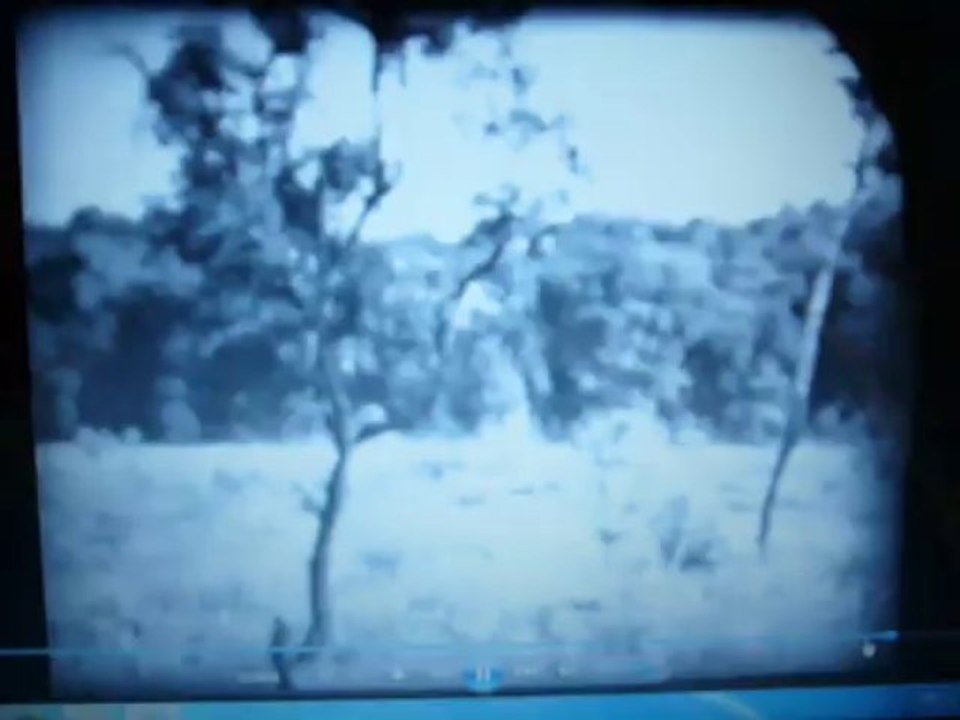 P1070440