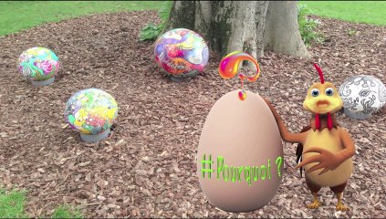 POURQUOI LES POULES CHANTENT ?