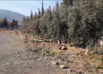 Hatay'da Kaçakçılık Operasyonu