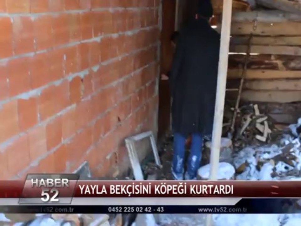 YAYLA BEKÇİSİNİ KÖPEĞİ KURTARDI