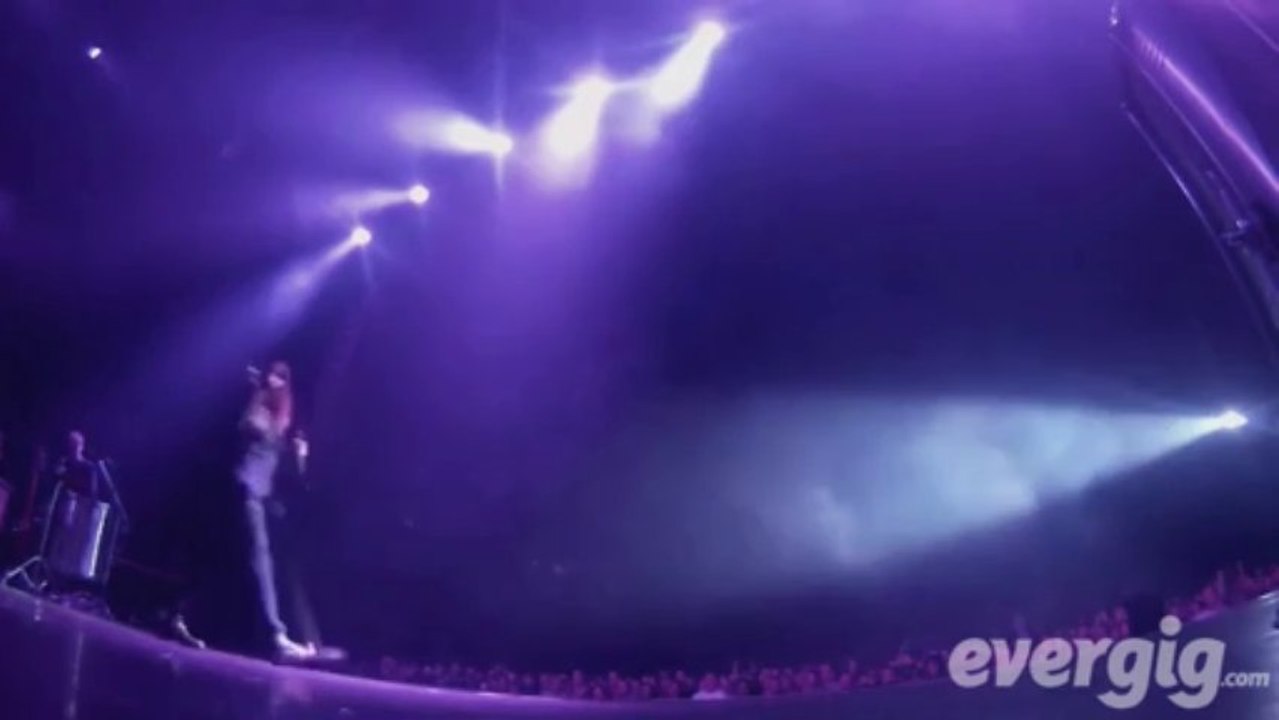 Zazie "Les contraires" - Halle Tony Garnier - Concert Evergig Live - Son HD