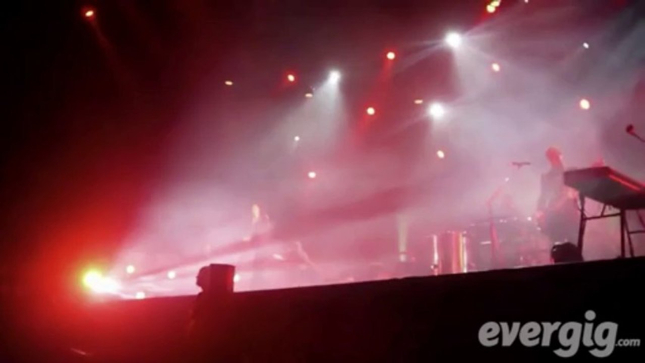 Zazie "L'amour dollar" - Halle Tony Garnier - Concert Evergig Live - Son HD