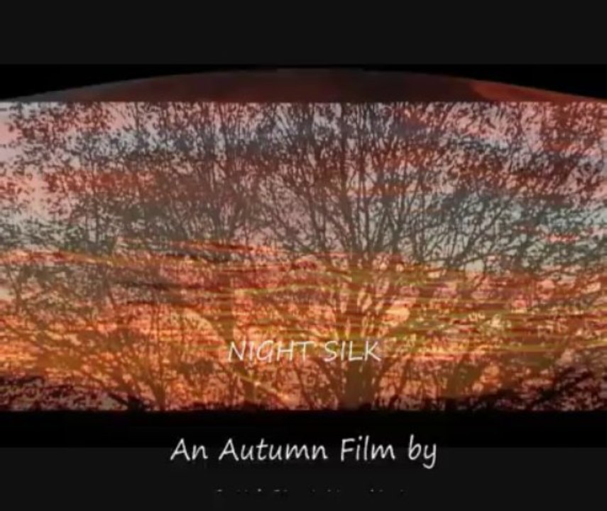 NIGTH SILK